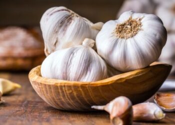 Productores de ajo en Constanza denuncian pérdidas en la producción