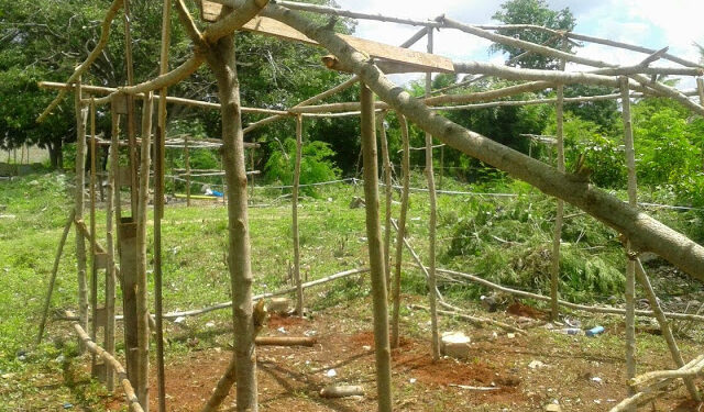 Abogado CEA niega presione por desalojo a invasores