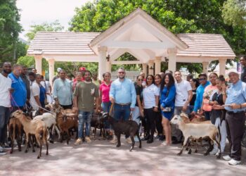 Impulsa crianza Ovinocaprina en Independencia
