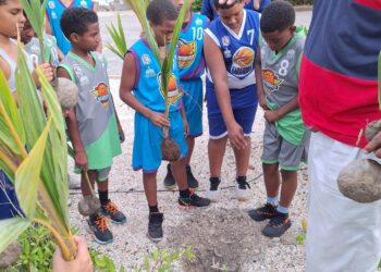 Atletas siembran matas de coco