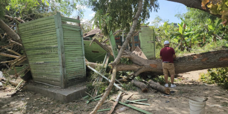 Abuelita ¡otra vez! pierde su casa