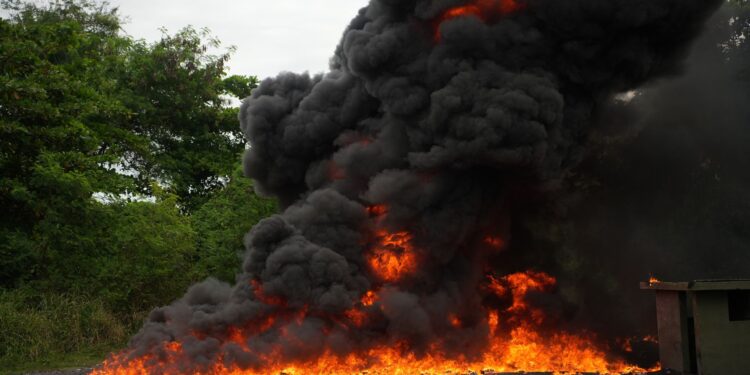 Queman «9.8 toneladas» de cocaína