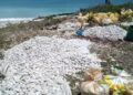 MA «indiferente» a extracción de piedras de playas de Barahona