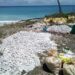 MA «indiferente» a extracción de piedras de playas de Barahona