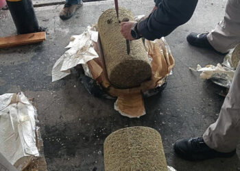 México ocupa en Veracruz lote de marihuana que venía a RD