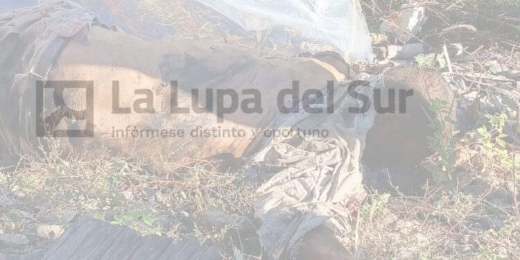 Muere hombre atropellado por locomotora