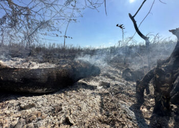 Controlan incendio en Guayacanes