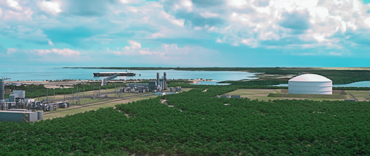 Consorcio energético destruye sector apícola en Manzanillo