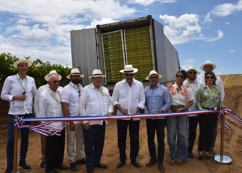 República Dominicana exportar uvas de mesa