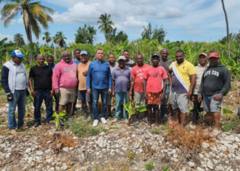 Edesur desconecta electrobombas en Tamayo, Neyba y Galván
