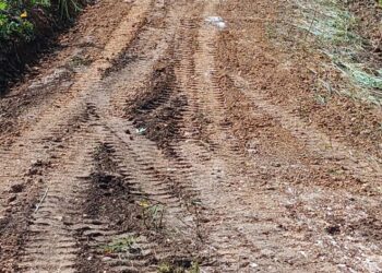 Utepda interviene caminos interparcelarios en zonas cafetaleras de Villa Jaragua