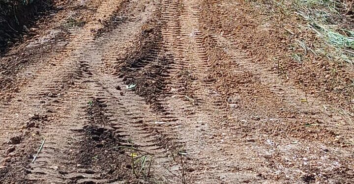 Utepda interviene caminos interparcelarios en zonas cafetaleras de Villa Jaragua