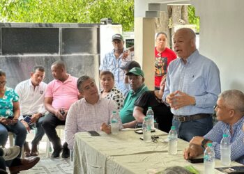 FP orienta a la unidad en torno a Leonel Fernández en el Suroeste