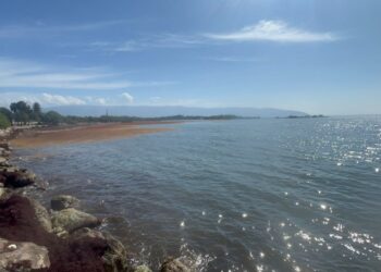 Costa de Barahona inundada de sargazo