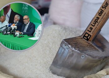 Fuerza del Pueblo acusa al Gobierno por crisis del arroz 