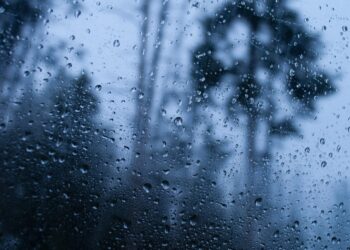 Pronostican chubascos