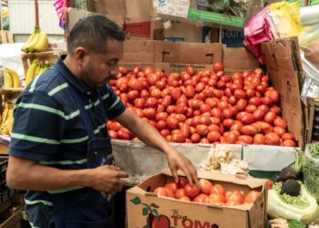 EEUU impone arancel de 17% a tomates mexicanos