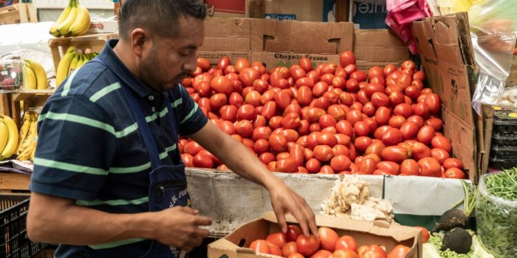 EEUU impone arancel de 17% a tomates mexicanos