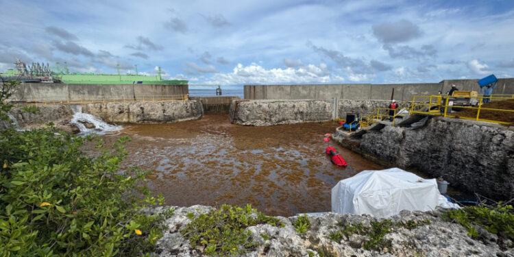 Sargazo saca de servicio planta AES Andrés