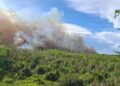 Incendio afecta Laguna de Cabral