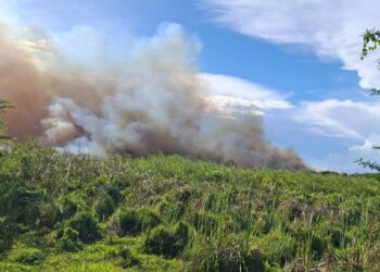 Incendio afecta Laguna de Cabral