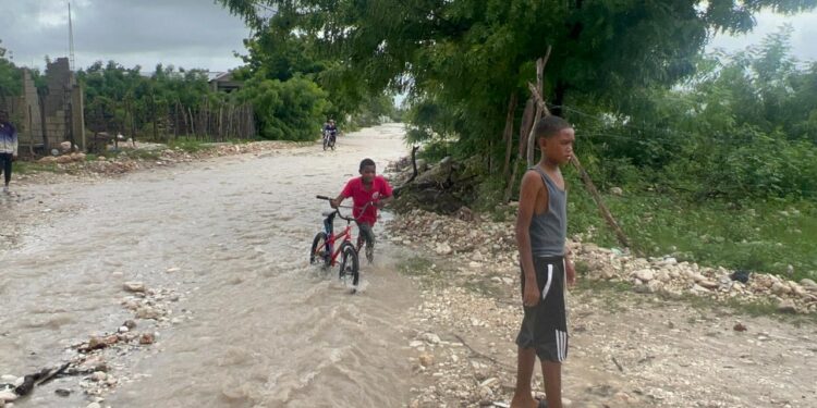 Arroyito amenaza familias de Los Guandules y Palmarito