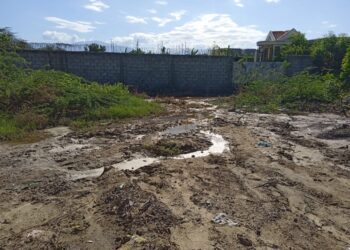 Aguas “misteriosas” salen del subsuelo en barrio de Vicente Noble
