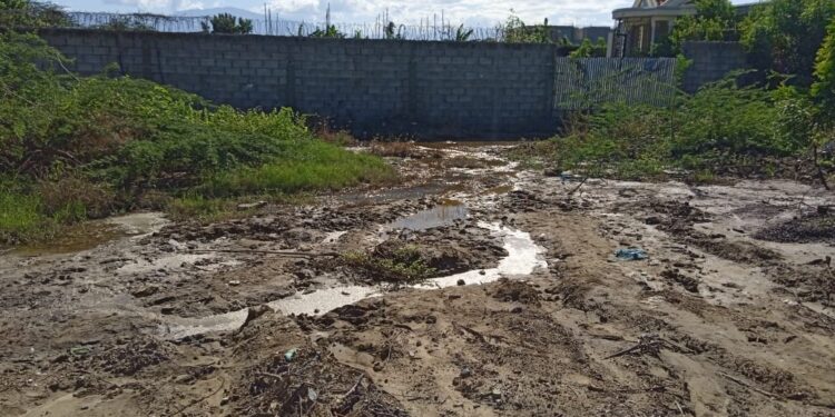 Aguas “misteriosas” salen del subsuelo en barrio de Vicente Noble