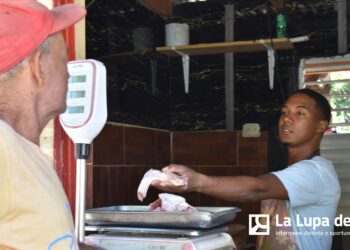 Escasez y alza: comerciantes alertan posible Navidad sin pollo