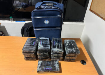 DNCD ocupa 17 paquetes de cocaína en el AILA; arresta alemán