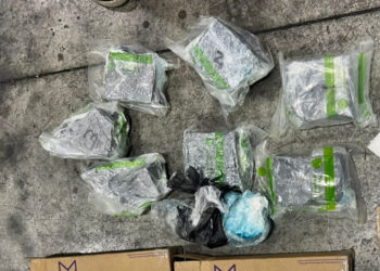 DNCD ocupa ocho paquetes de presunta cocaína en el AILA