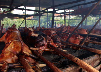 Pro Consumidor vigilará lechoneras durante festividades navideñas