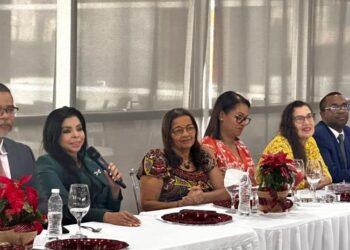 Procuradora advierte más imputados y decomisos en caso Senada