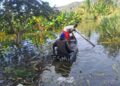 Campesinos navegan en yolas y "canoas" para poder sacar los productos agrícolas que pueden sacar de sus parcelas