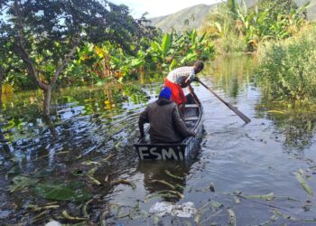 Campesinos navegan en yolas y "canoas" para poder sacar los productos agrícolas que pueden sacar de sus parcelas