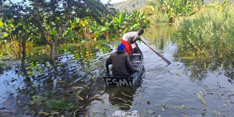 Campesinos navegan en yolas y "canoas" para poder sacar los productos agrícolas que pueden sacar de sus parcelas