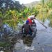 Campesinos navegan en yolas y "canoas" para poder sacar los productos agrícolas que pueden sacar de sus parcelas