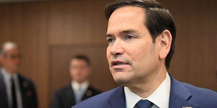 Marco Rubio no aspira a cargos con los Miami Dolphins