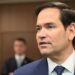 Marco Rubio no aspira a cargos con los Miami Dolphins