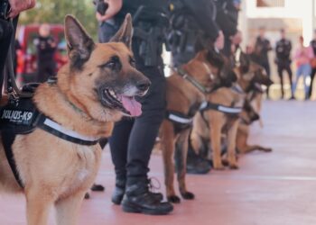 Ministerio Público crea Unidad Canina