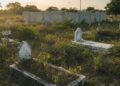 Cementerio del Distrito Municipal de Mena en total abandono