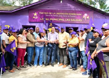 Jhonny Pujols asegura PLD es la «principal» fuerza opositora