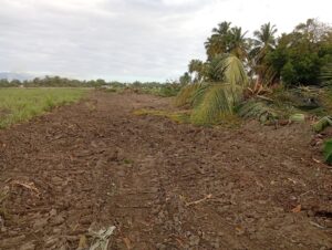 Los productores aseguraron que, además de destruir los predios, los productos que se encontraban listos para cosecha