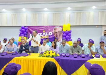 Gonzalo, “pupilo” de Danilo, logra respaldo del PLD en Barahona