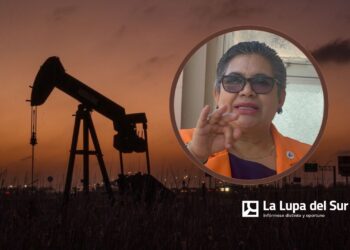 Edita Rodríguez: «Gobierno debe dar ejemplo de austeridad»