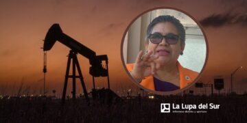 Edita Rodríguez: «Gobierno debe dar ejemplo de austeridad»