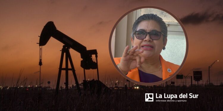 Edita Rodríguez: «Gobierno debe dar ejemplo de austeridad»