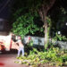 Edesur realiza operativo de poda de árboles tras lluvias
