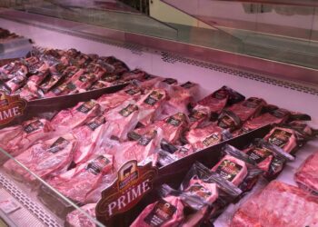 DIGEMAPS lanza programas para control sanitario de carnes