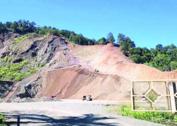 Alcaldesa de La Vega denuncia ecocidio